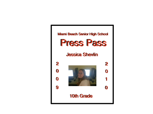 Press Pass - Jessica Shevlin